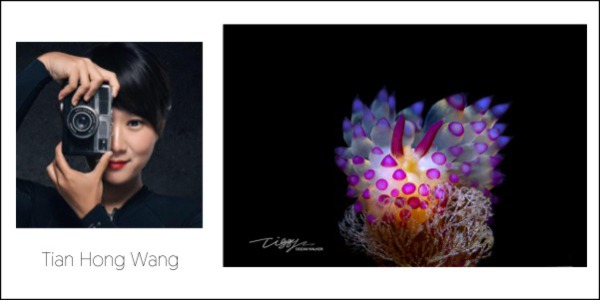 Wang Tian Hong - Fotografka SUPE